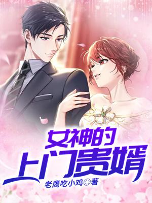 女神的上门贵婿