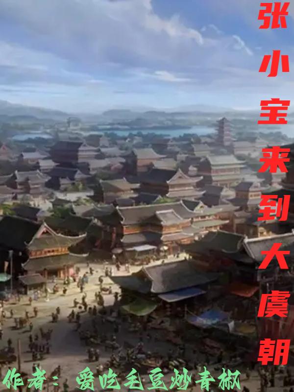 张小宝来到大虞朝