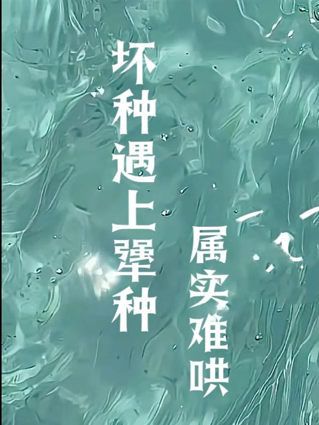 坏种遇上犟种，属实难哄